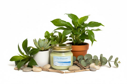 Sea Diamonds Candle 8oz Single Cotton Wick Glass Jar