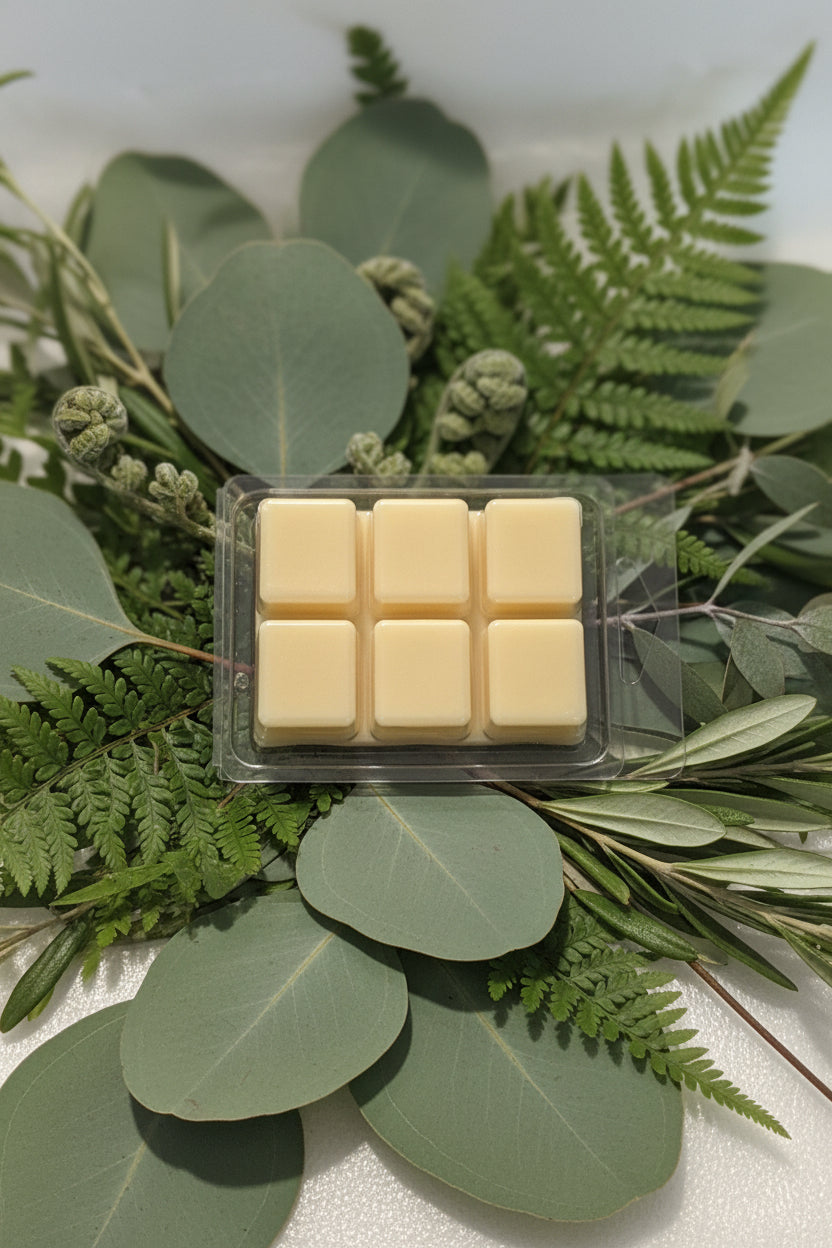 Rudy Tarocco Scented Wax Melt 2.5oz  Six Cube Warmer Tart