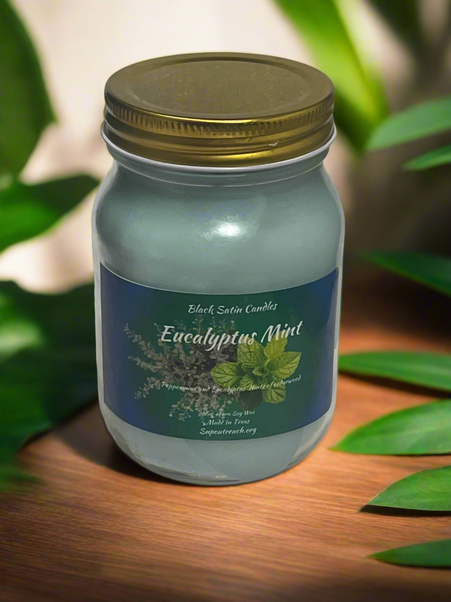 Eucalyptus & Mint Scented Candle 16oz Single Cotton Wick Glass Jar
