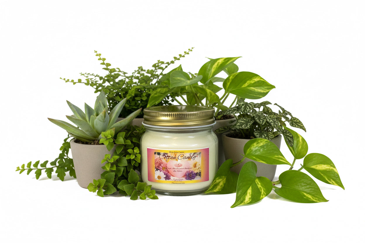Cotton Candy Scented Candle 8oz Single Cotton Wick Glass Jar
