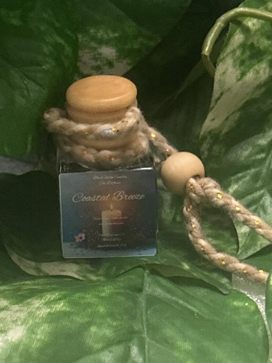 Coastal Breeze Scented Car Diffuser 8ml Clear Air Refresher Fragrance Oil