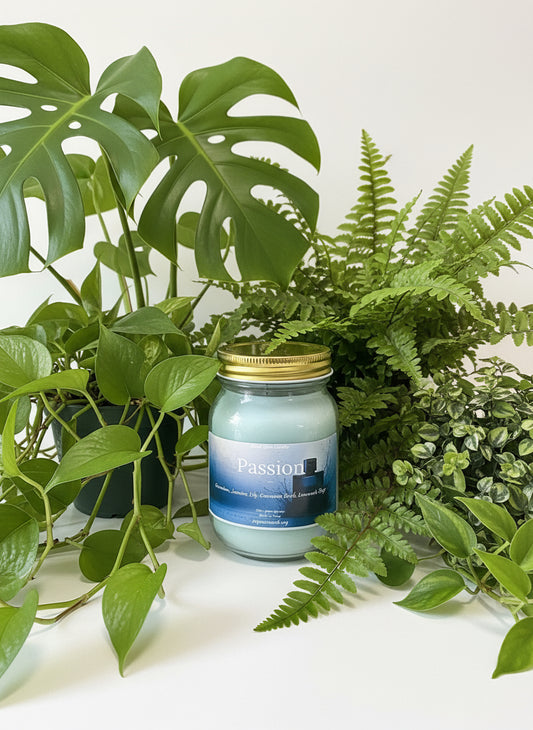 Passion Scented Candle 16oz Single Cotton Wick Glass Jar