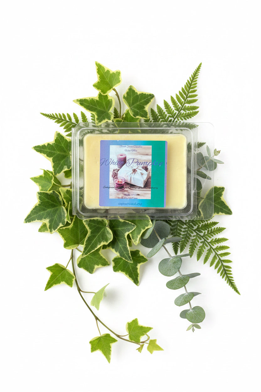 White Pumpkin Scented Wax Melt 2.5oz Six Cube Warmer Tart
