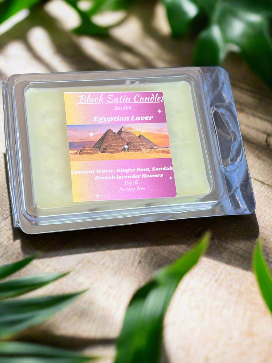 Egyptian Lover Scented Wax Melt 2.5oz Six Cube Warmer Tart