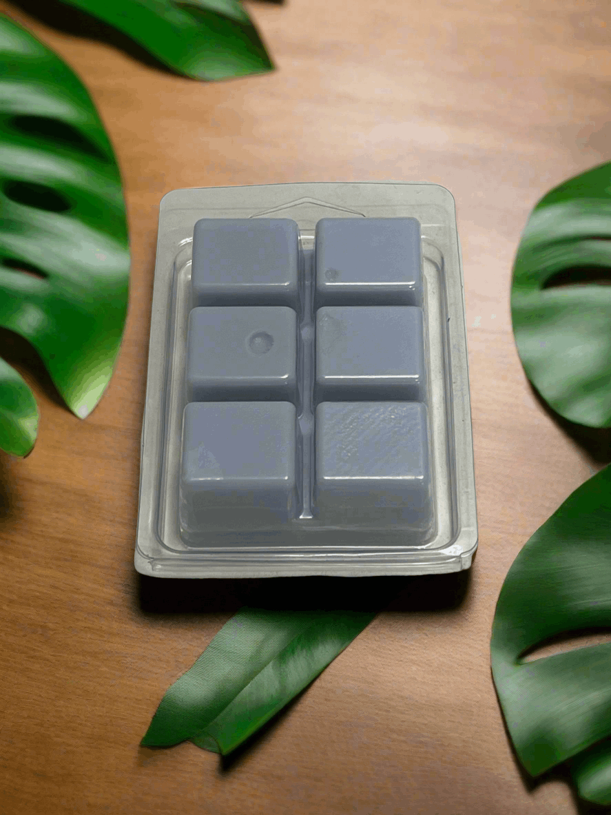 Eucalyptus & Spearmint Scented Wax Melt 2.5oz Six Cube Warmer Tart