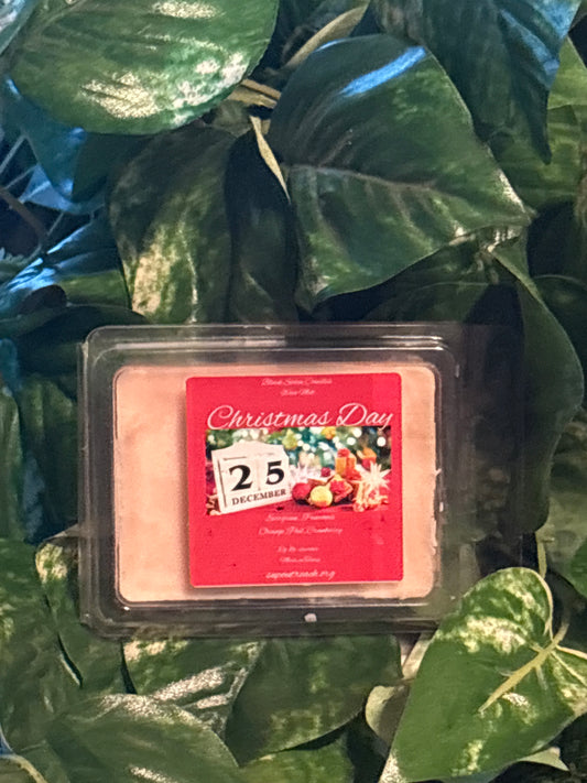 Christmas Day Scented Wax Melt 2.5oz Six Cube Warmer Tart
