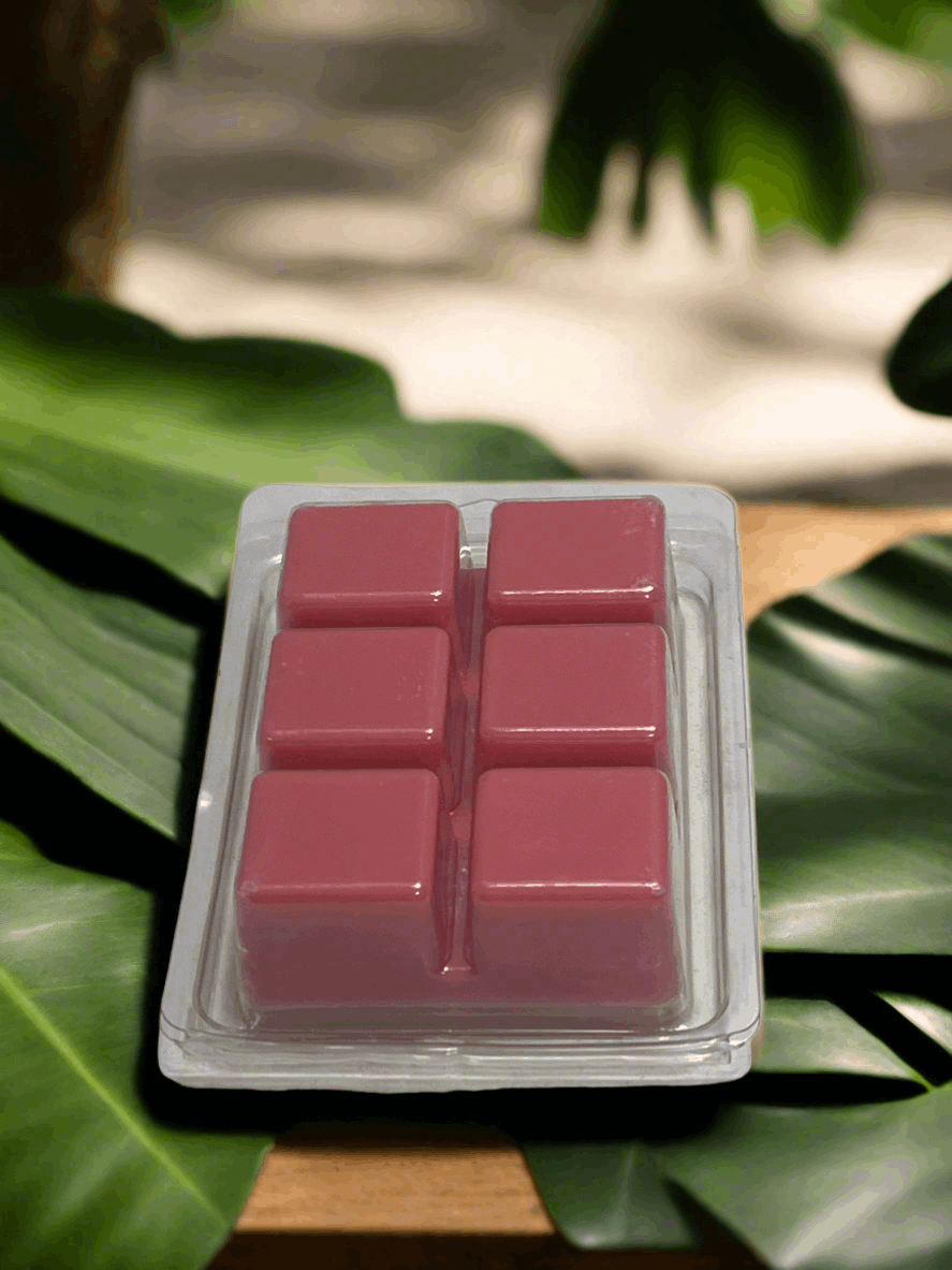 Jazzy Cranberry Scented Wax Melt 2.5oz Six Cube Warmer Tart