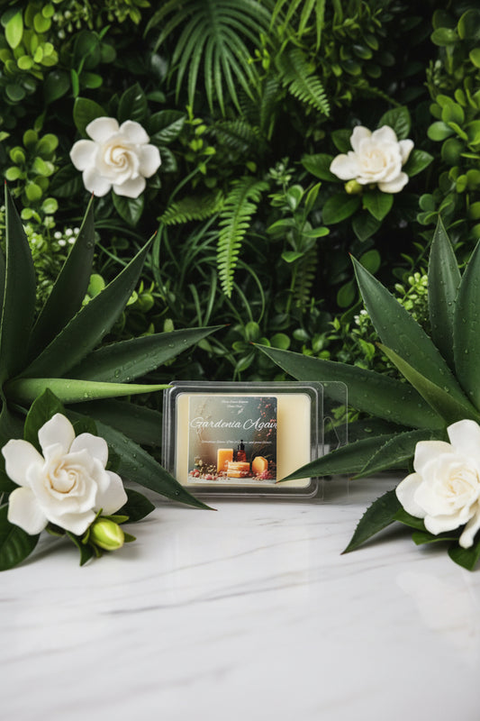 Gardenia Agave Scented Wax Melt 2.5oz  Six Cube Warmer Tart