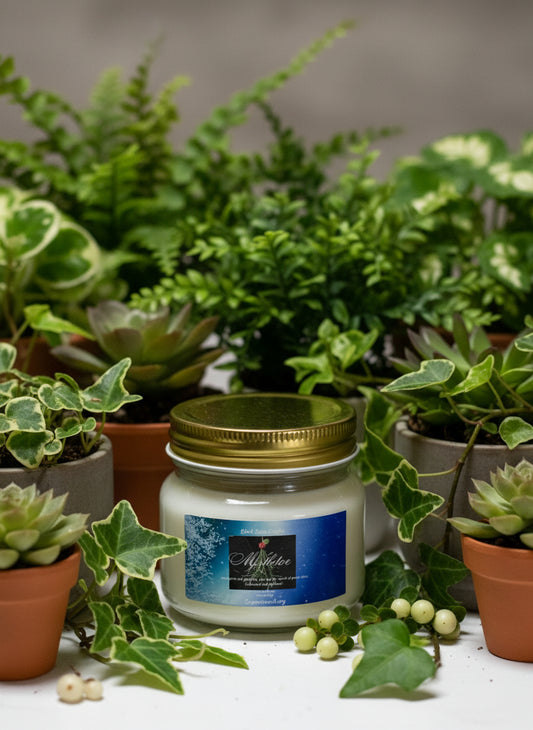 Mistletoe Scented Candle 8oz Single Cotton Wick Glass Jar