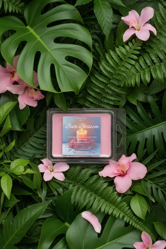 Babe Blossom Scented Wax Melt 2.5oz  Six Cube Warmer Tart