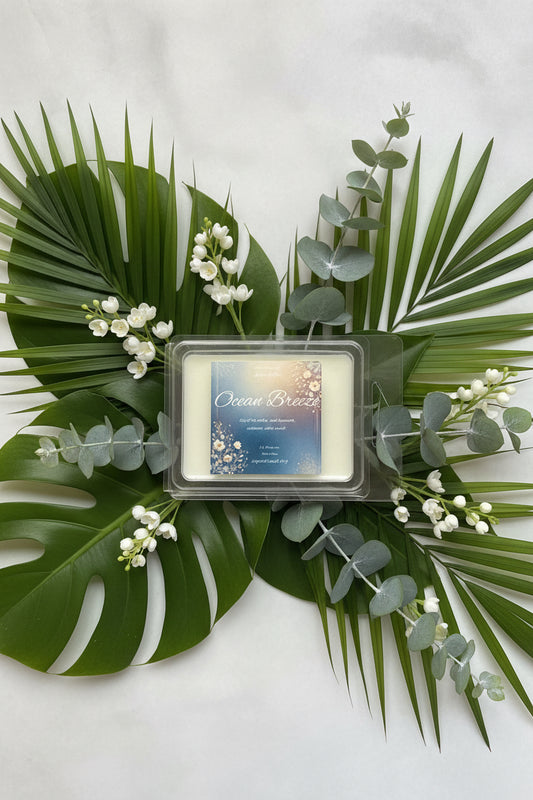 Ocean Breeze Scented Wax Melt 2.5oz Six Cube Warmer Tart