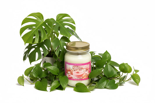 Georgia Peach Scented Candle 16oz Single Cotton Wick Glass Jar