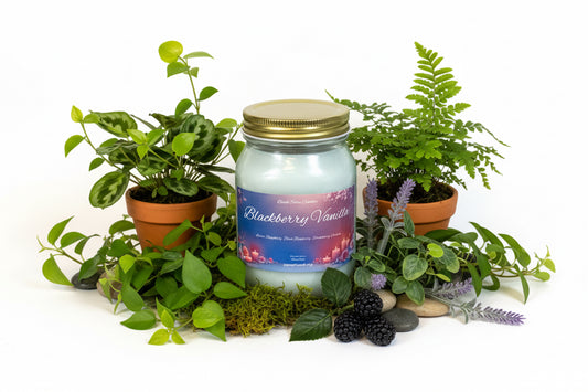 Blackberry Vanilla Scented Candle 16oz Cotton Wick Glass Jar