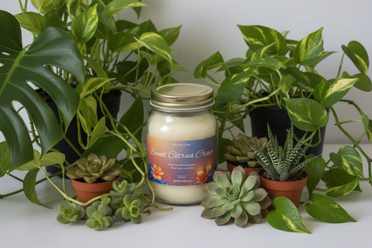 Sweet Citrus Crave Scented Candle 16oz Single Cotton Wickless Glass Jar