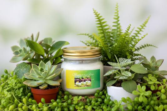 Mulberry Fire Scented Candle 8oz Glass Jar