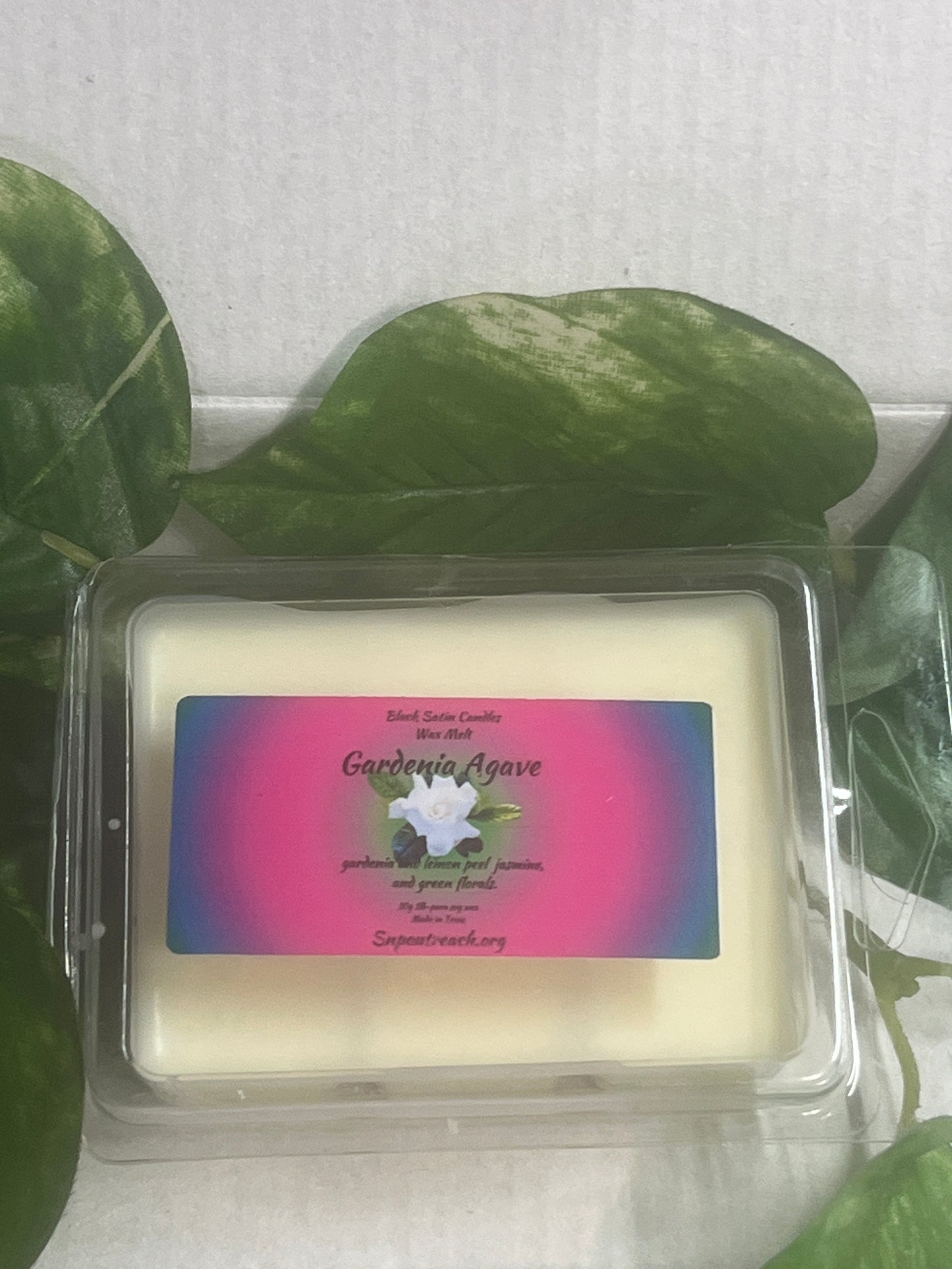 Gardenia Agave  Wax Melts 2.5oz Six Cube Warmer Tart
