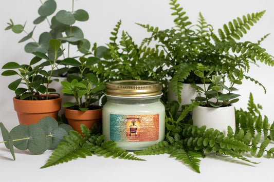 Bergamot Musk Scented Candle 8oz Single Cotton Wickless Glass Jar