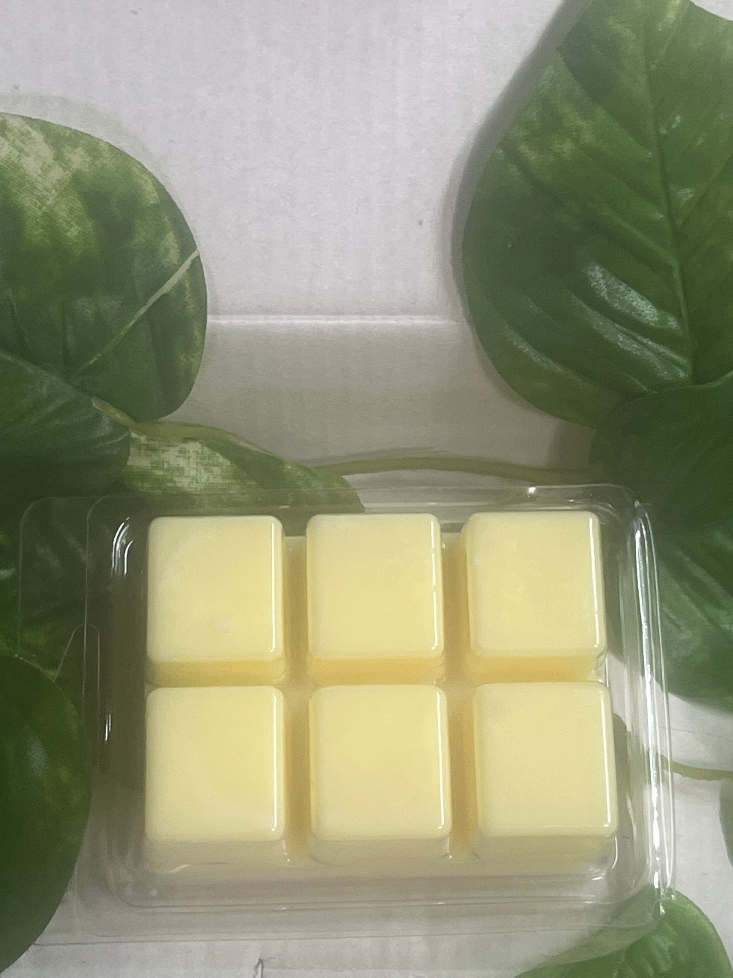 Sweet Citrus Crave Wax Melts 2.5oz Six Cube Warmer Tart