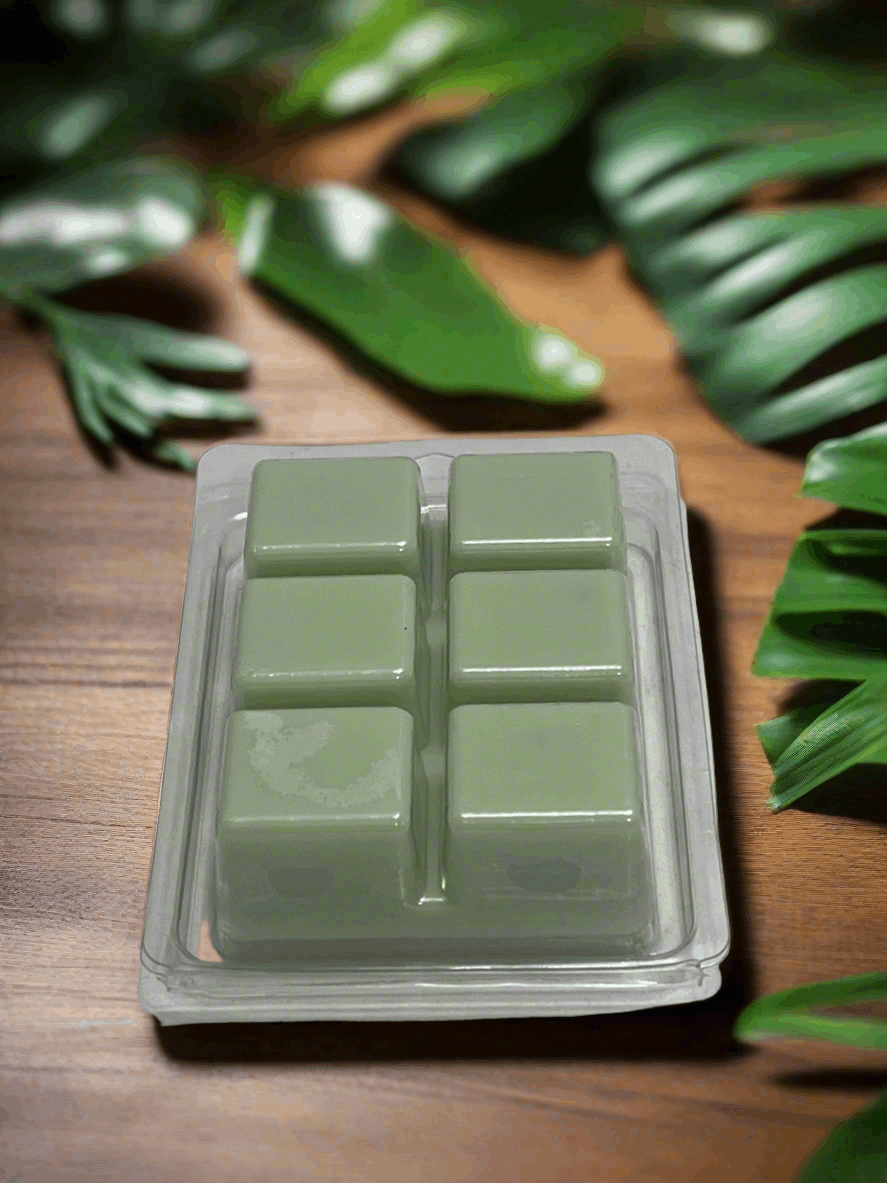 Honeydew Melon  Scented Wax Melt 2.5oz Six Cube Warmer Tart