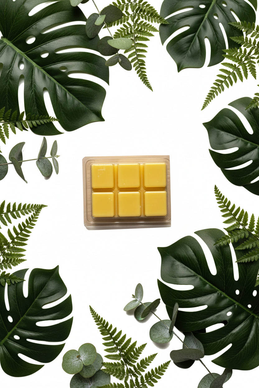 Lemon Poppy Scented Wax Melt 2.5oz Six Cube Warmer Tart