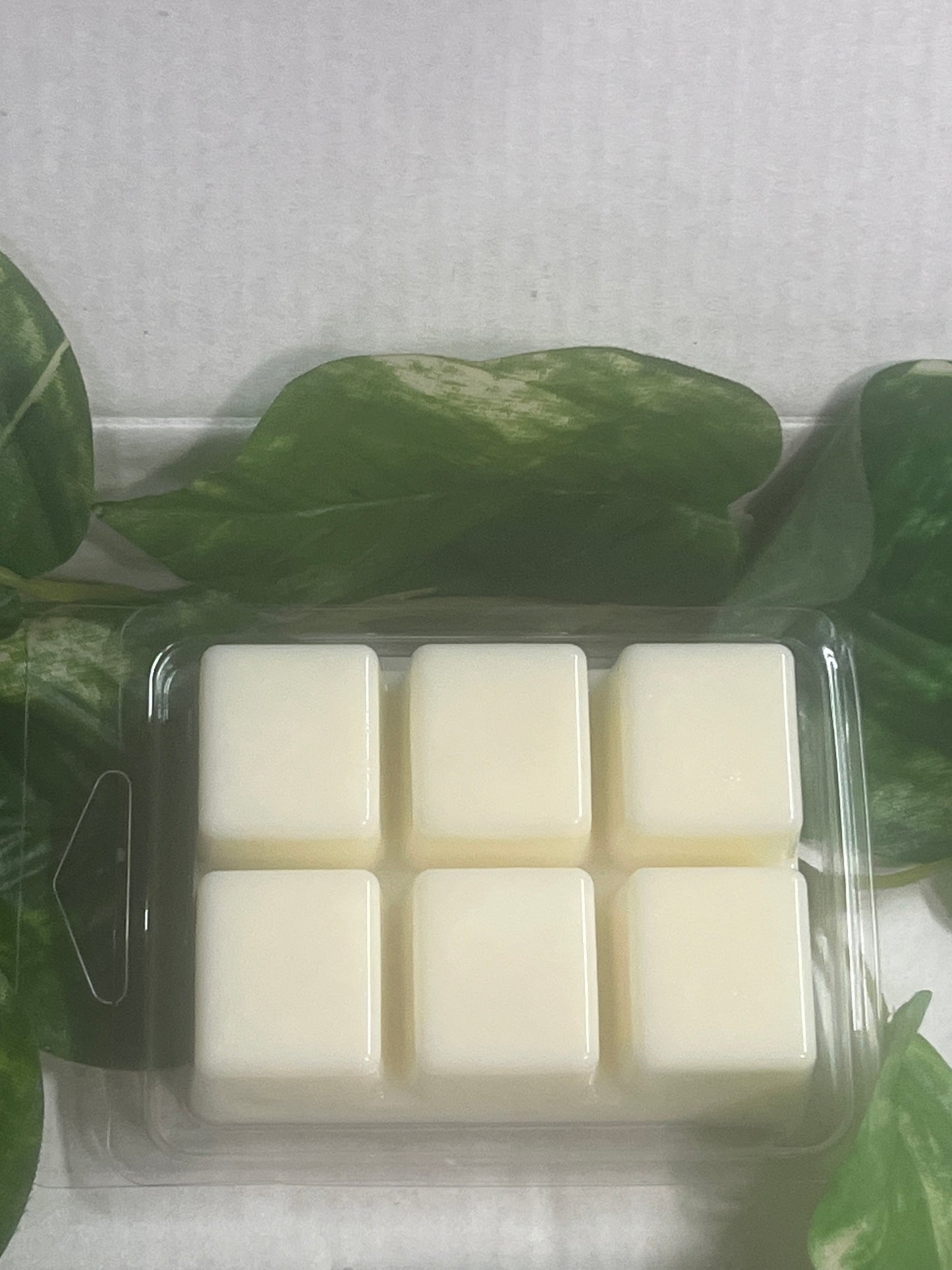 Marine Moss Wax Melts 2.5oz Six Cube Warmer Tart