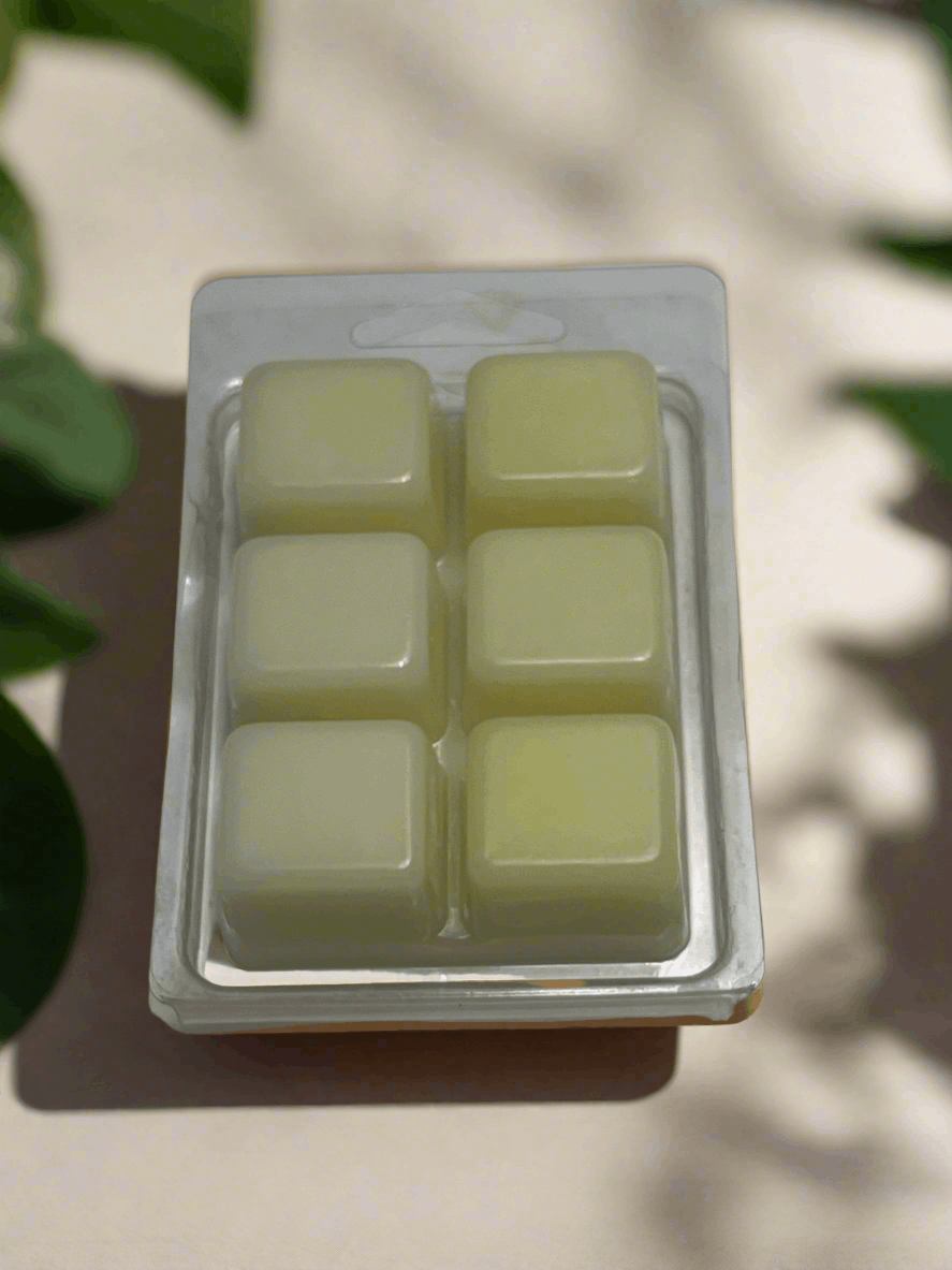 Lemon Drop Scented Wax Melt 2.5oz Six Cube Warmer Tart