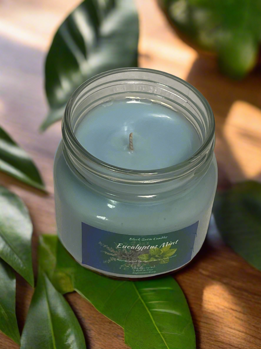 Eucalyptus & Mint Scented Candle 8oz Single Cotton Wick Glass Jar
