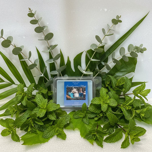 Eucalyptus & Mint Scented Wax Melt 2.5oz Six Cube Warmer Tart