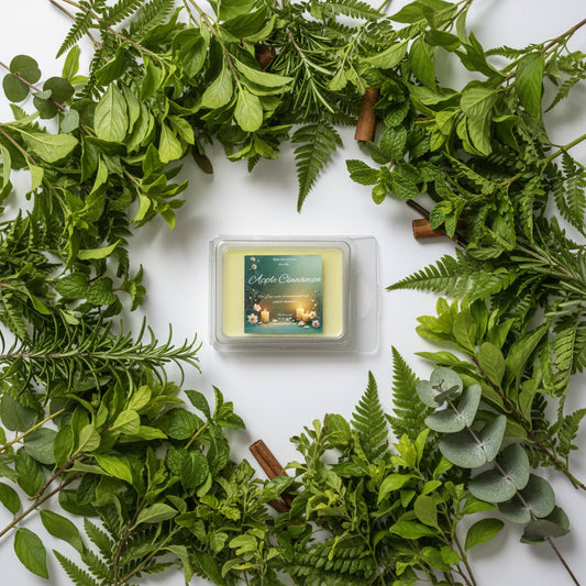 Apple Cinnamon Scented Wax Melt 2.5oz Six Cube Warmer Tart
