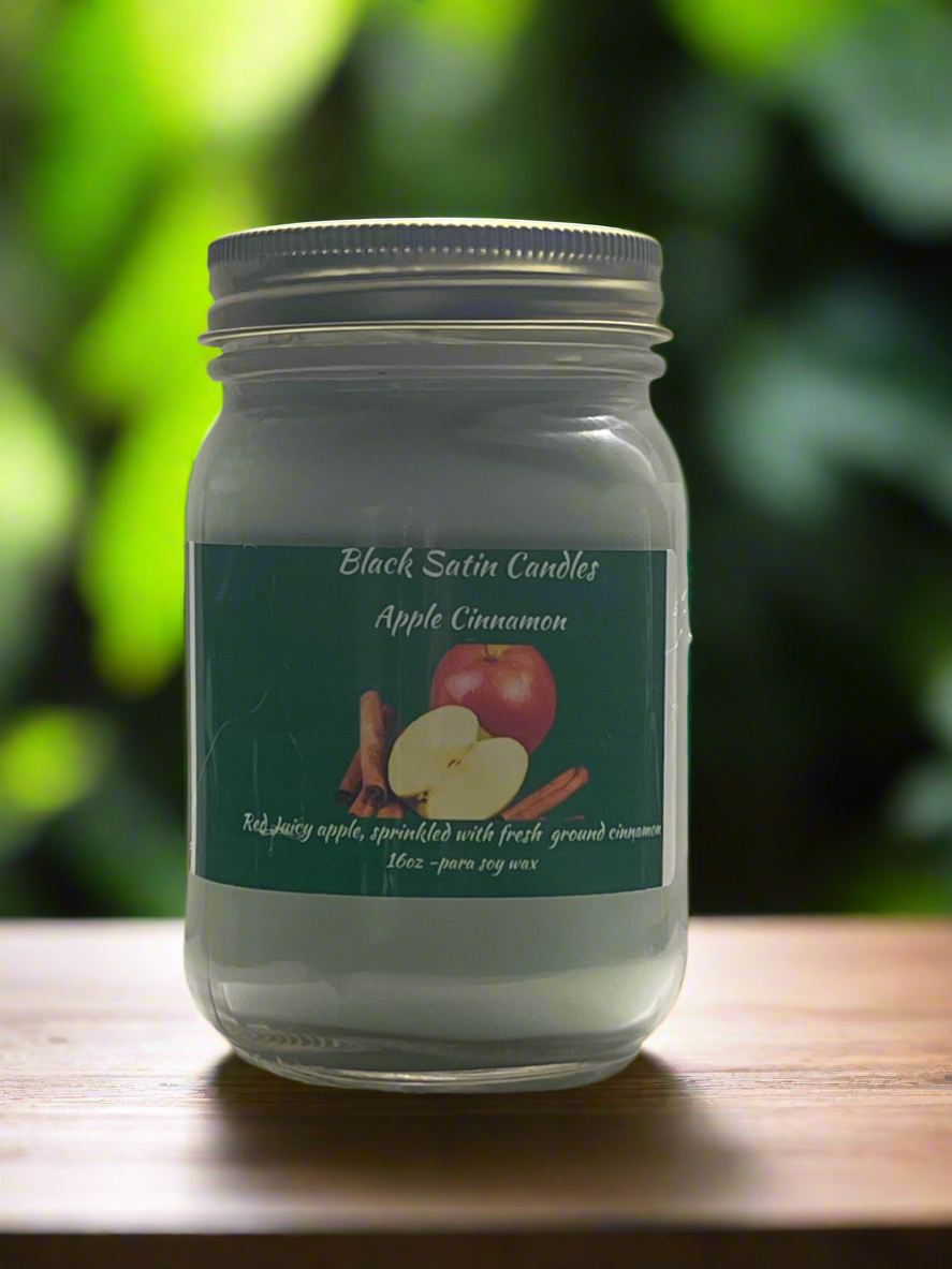 Apple Cinnamon Scented Candle 16oz Single Cotton Wick Glass Jar