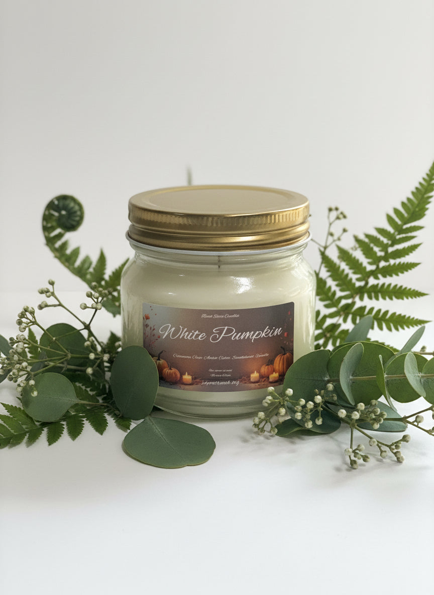 White Pumpkin Scented Candle 8oz Single Single Cotton Wick Glass Jar