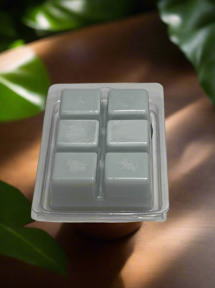 Passion Scented Wax Melts 2.5oz Six Cube Warmer Tart