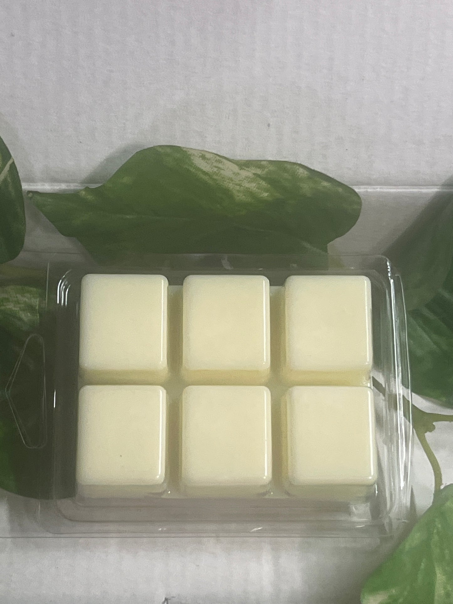 Gardenia Agave  Wax Melts 2.5oz Six Cube Warmer Tart