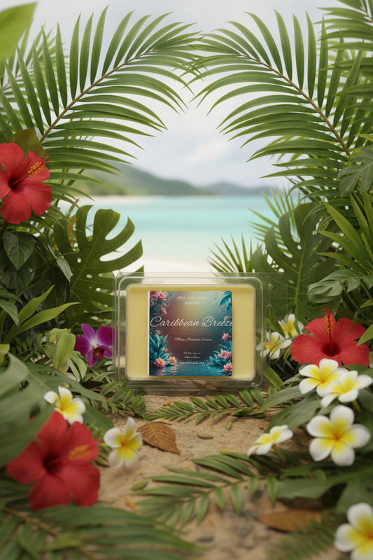 Caribbean Breeze Scented Wax Melt 2.5oz  Six Cube Warmer Tart