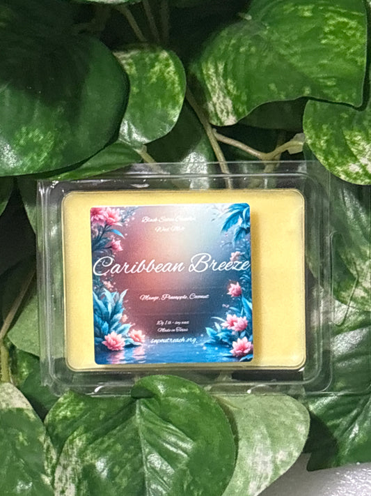 Caribbean Breeze Scented Wax Melt 2.5oz  Six Cube Warmer Tart