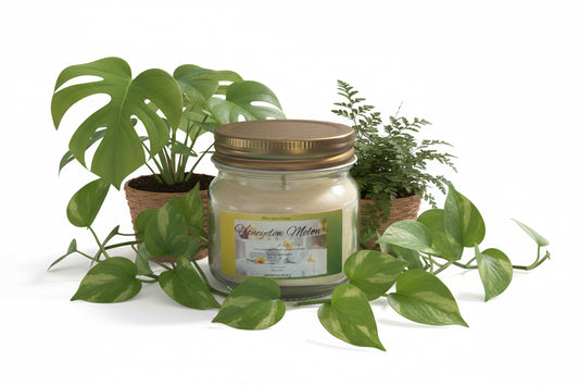 Honeydew Melon Scented Candle 8oz Single Cotton Wick Glass Jar