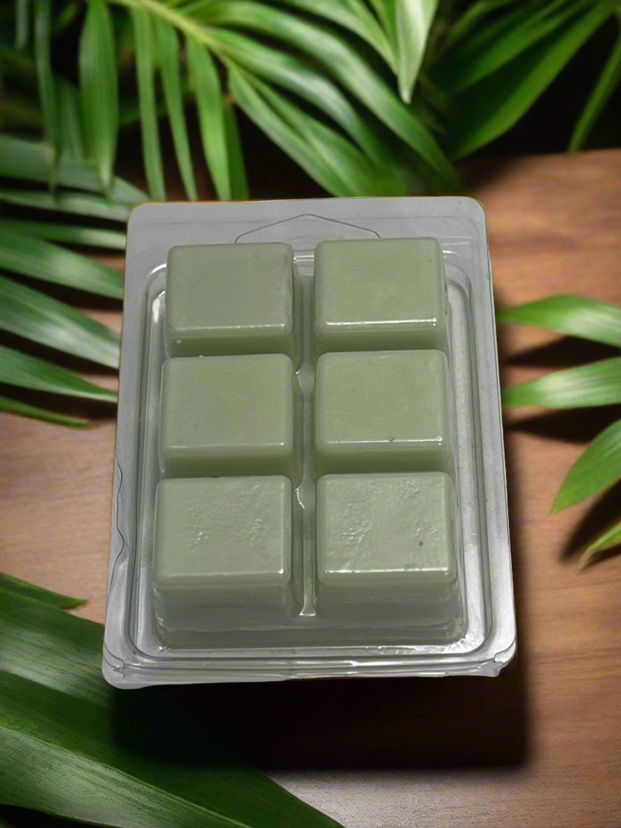 Watermelon Punch Scented Wax Melt 2.5oz Six Cube Warmer Tart