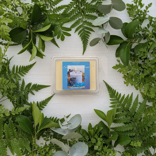 Sweet Citrus Crave Wax Melts 2.5oz Six Cube Warmer Tart