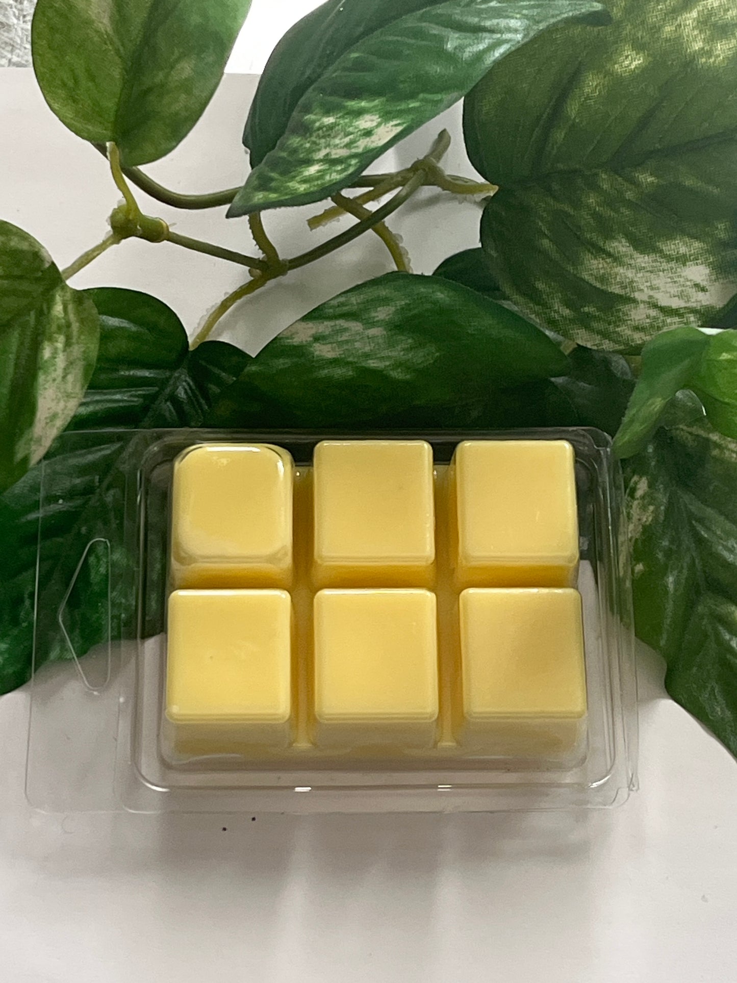 Twinberry Love Scented Wax Melt