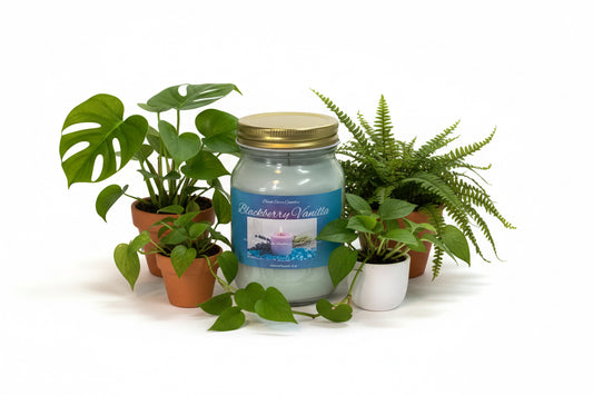 Blackberry Vanilla Scented Candle 16oz Cotton Wick Glass Jar
