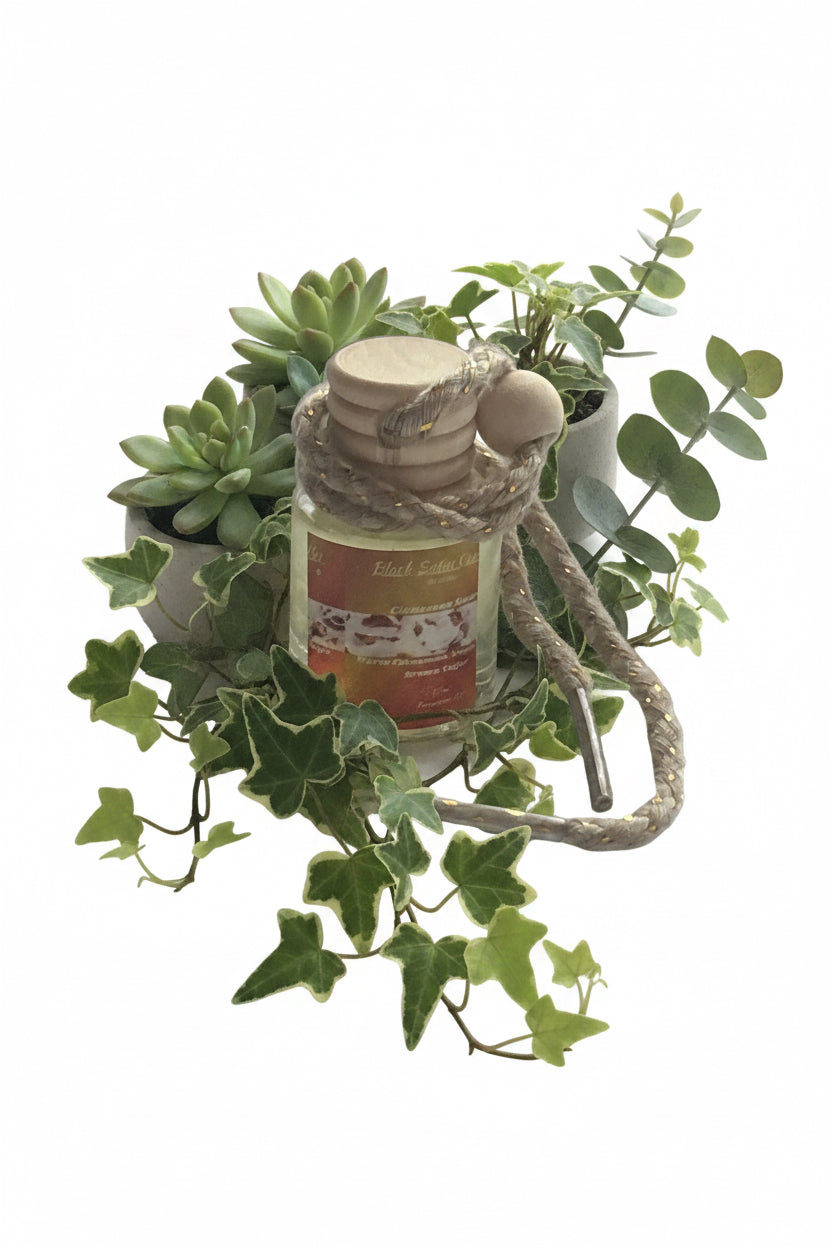 Cinnamon Swirl Scented Car Diffuser 8ml Clear Air Refresher Fragrance Oil