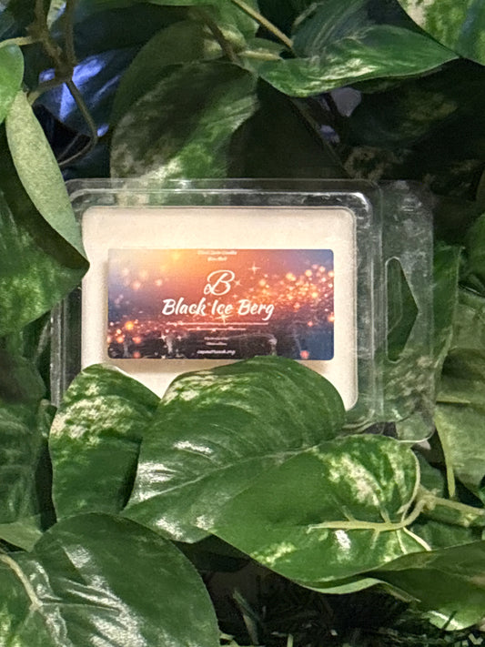 Black Iceberg Scented Wax Melt 2.5oz Six Cube Warmer Tart