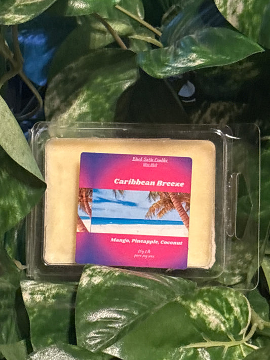 Caribbean Breeze Scented Wax Melt 2.5oz  Six Cube Warmer Tart
