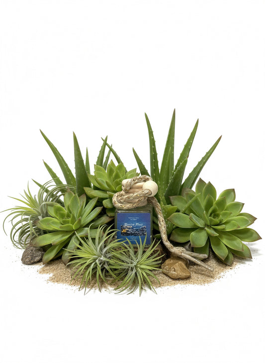 Marine Moss Scented Car Diffuser 8ml Clear Air Refresher Fragrance Oil