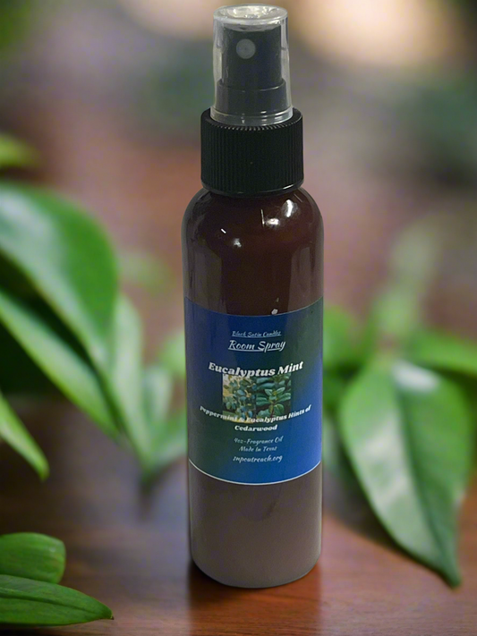 Eucalyptus Mint Scented Room Spray 4oz Home Office Travel Size