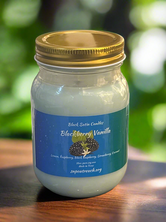 Blackberry Vanilla Scented Candle 16oz Wickless Glass Jar