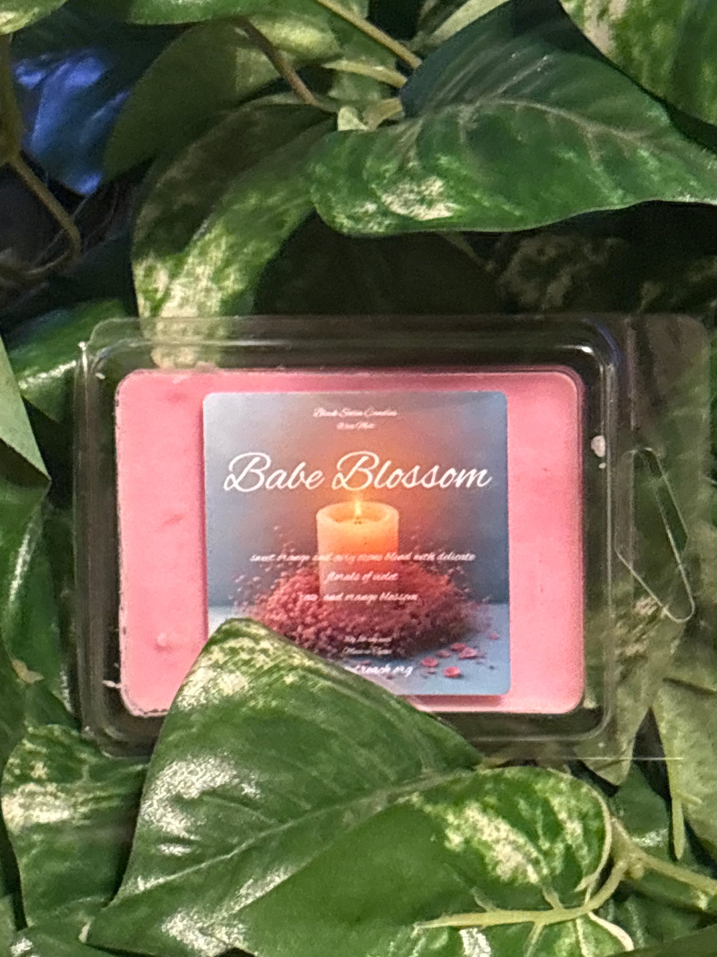 Babe Blossom Scented Wax Melt 2.5oz  Six Cube Warmer Tart