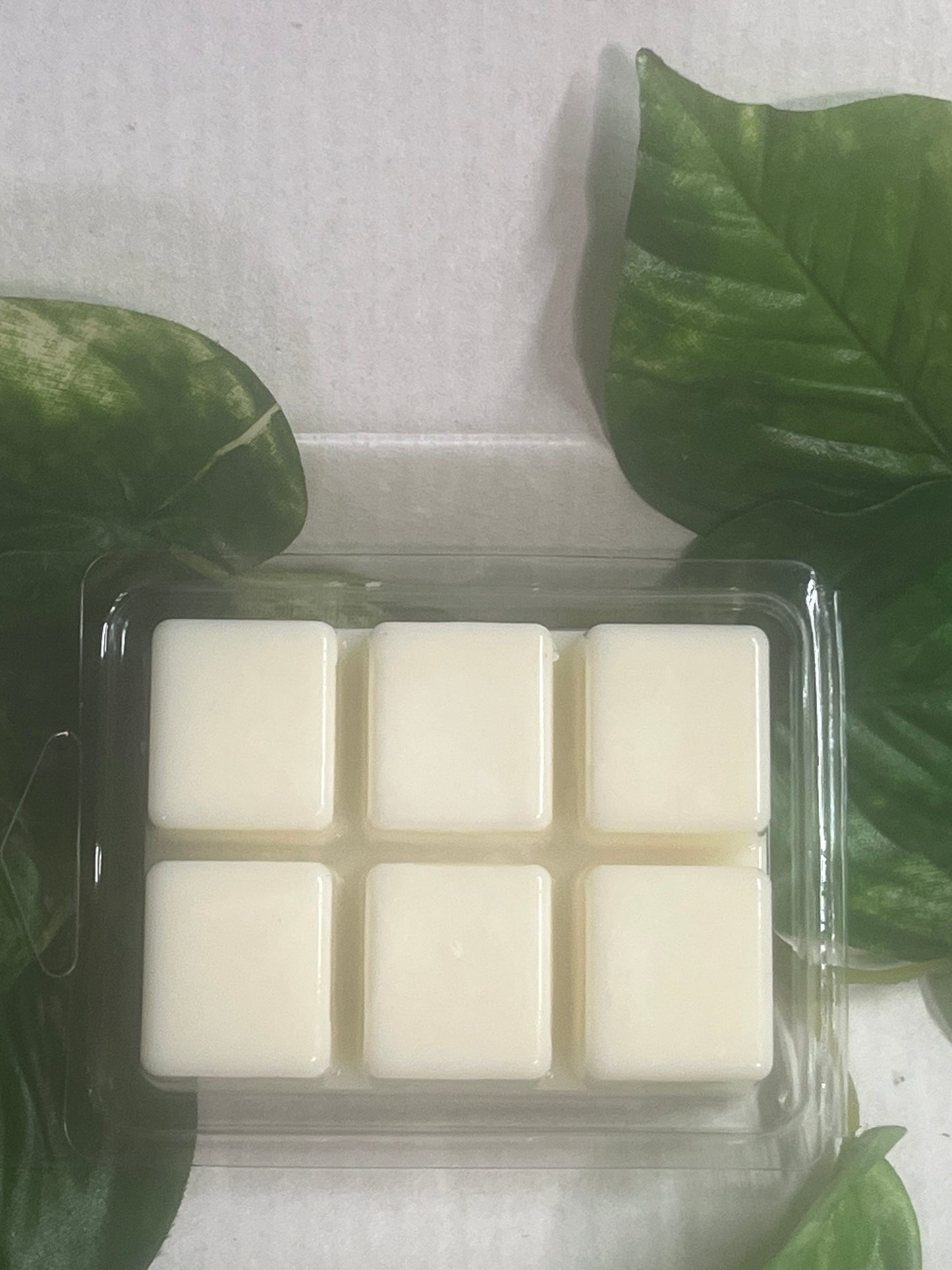Coastal Breeze  Wax Melts 2.5oz Six Cube Warmer Tart