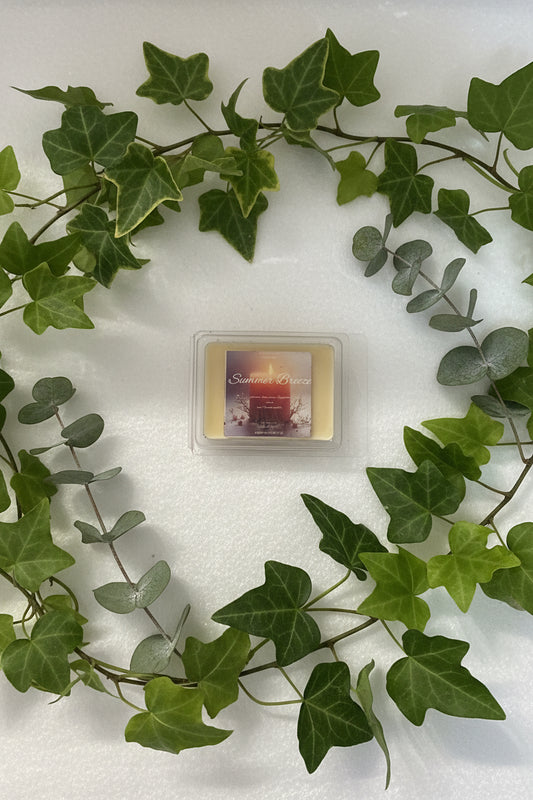Summer Breeze Scented Wax Melt 2.5oz Six Cube Warmer Tart