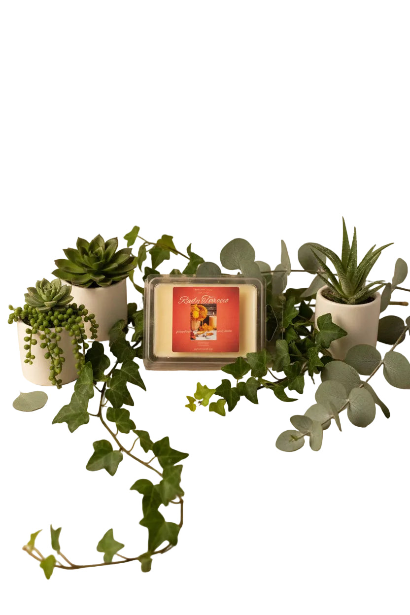 Rudy Tarocco Scented Wax Melt 2.5oz  Six Cube Warmer Tart
